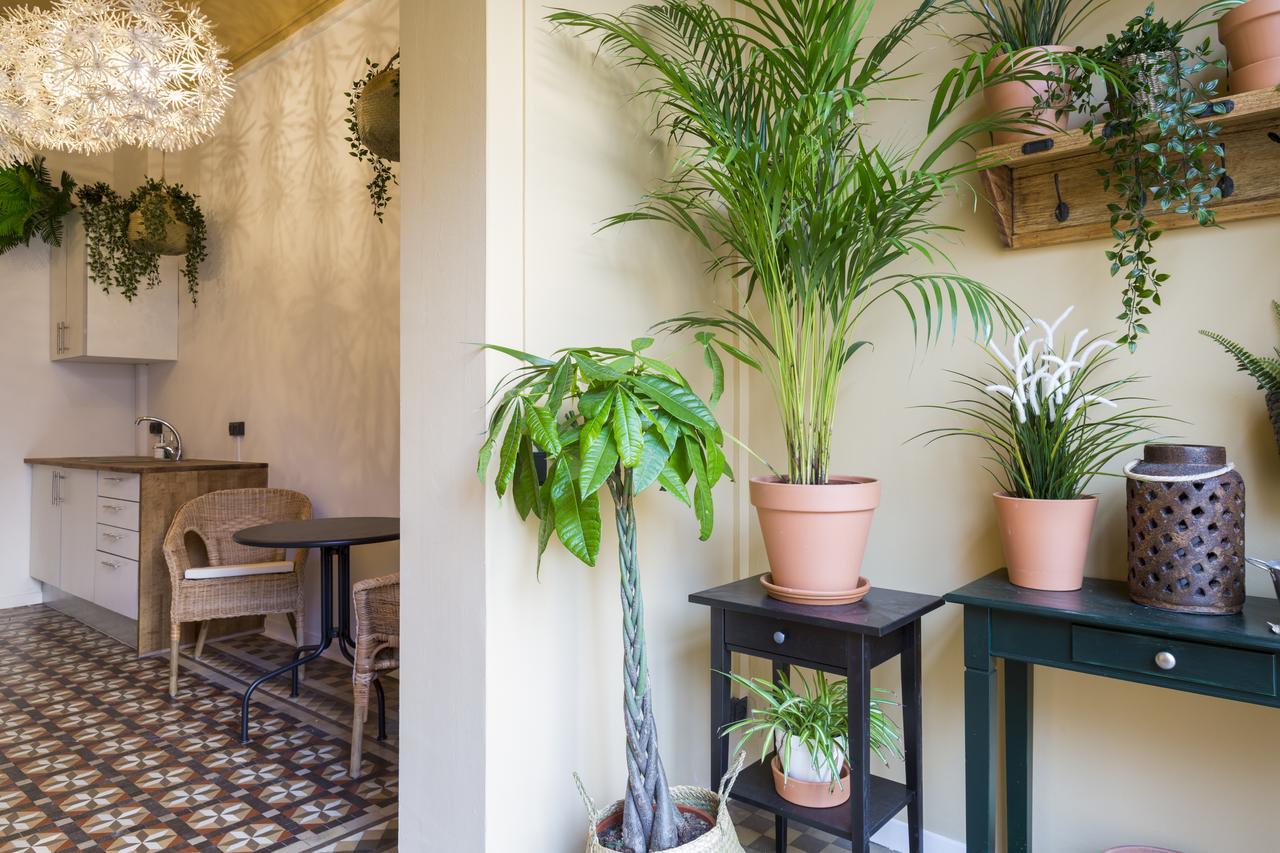 Casa Maca Barcelona (Adults Only) Ξενοδοχείο Εξωτερικό φωτογραφία